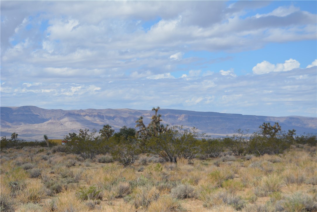 11869 South Dateland Road Yucca, AZ 86438 - Photo 68 of 89 View