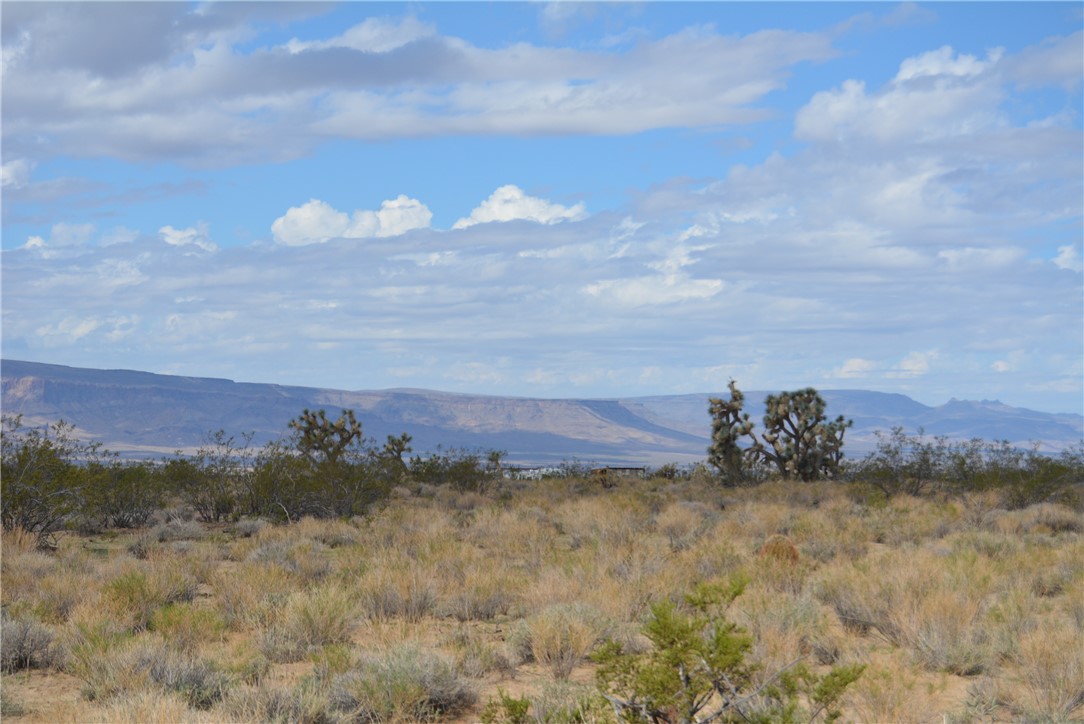 11869 South Dateland Road Yucca, AZ 86438 - Photo 69 of 89 View