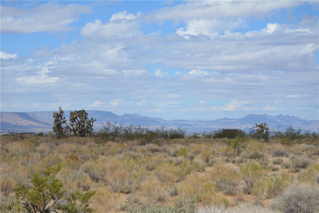 11869 South Dateland Road Yucca, AZ 86438 - Photo 70 of 89 View