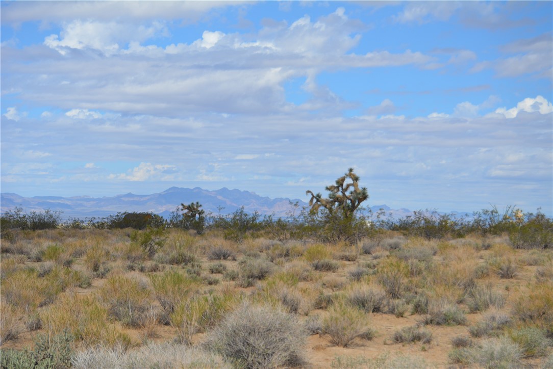 11869 South Dateland Road Yucca, AZ 86438 - Photo 71 of 89 View