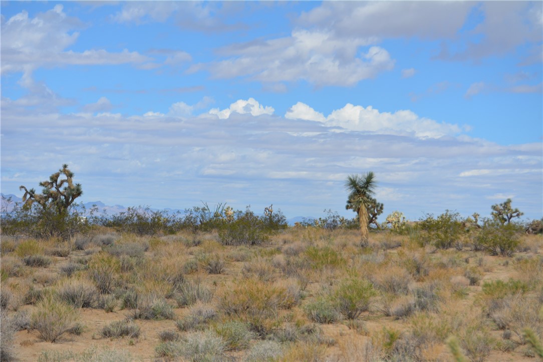 11869 South Dateland Road Yucca, AZ 86438 - Photo 72 of 89 Other