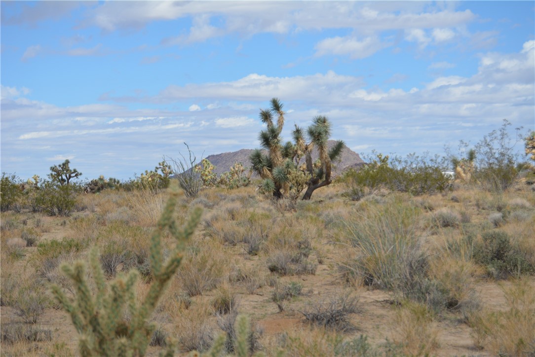 11869 South Dateland Road Yucca, AZ 86438 - Photo 73 of 89 Other