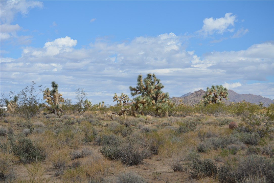11869 South Dateland Road Yucca, AZ 86438 - Photo 74 of 89 View