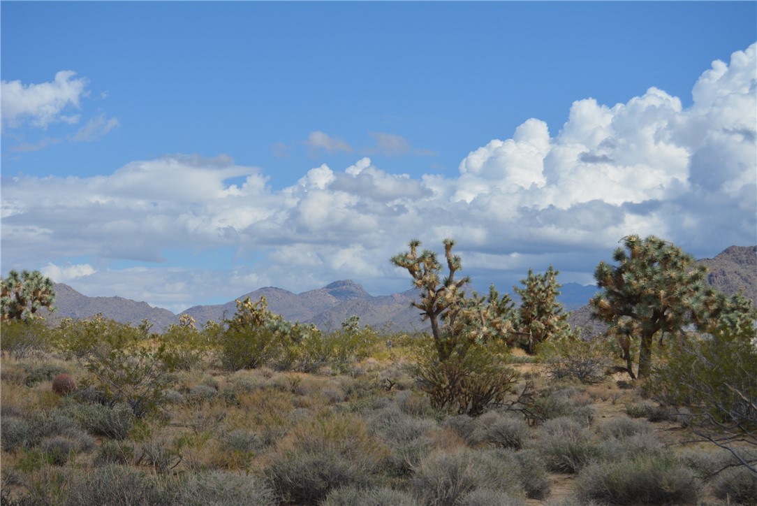 11869 South Dateland Road Yucca, AZ 86438 - Photo 75 of 89 View