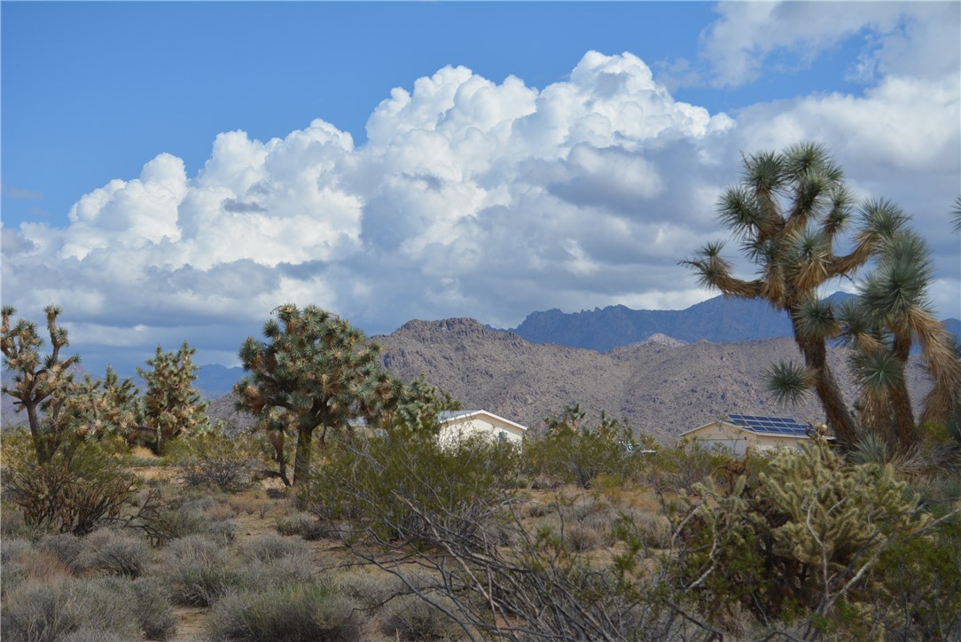 11869 South Dateland Road Yucca, AZ 86438 - Photo 76 of 89 View