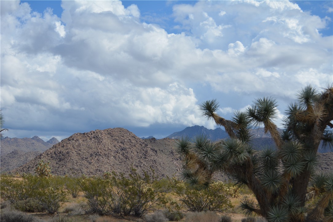 11869 South Dateland Road Yucca, AZ 86438 - Photo 78 of 89 View