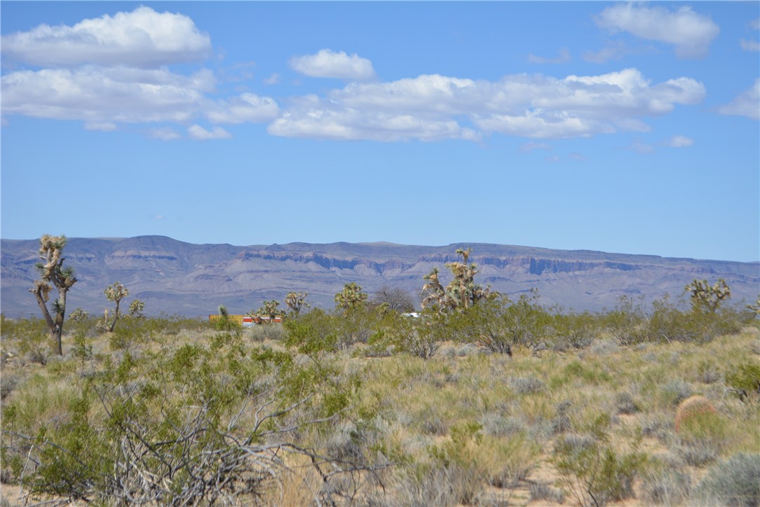 11869 South Dateland Road Yucca, AZ 86438 - Photo 8 of 89 View