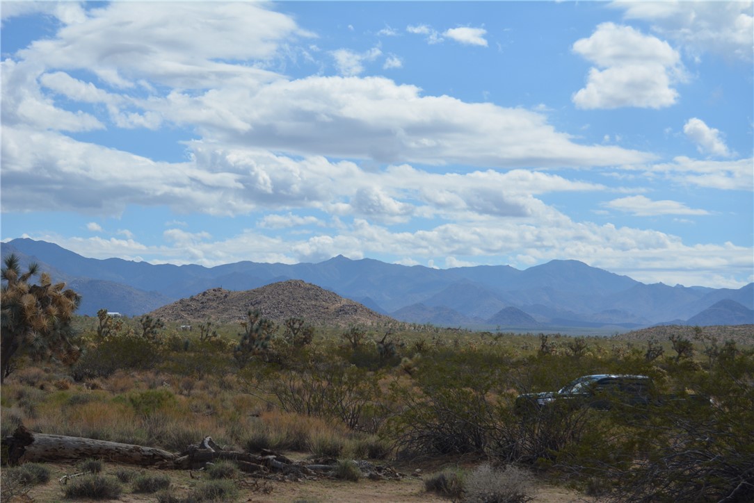 11869 South Dateland Road Yucca, AZ 86438 - Photo 81 of 89 View