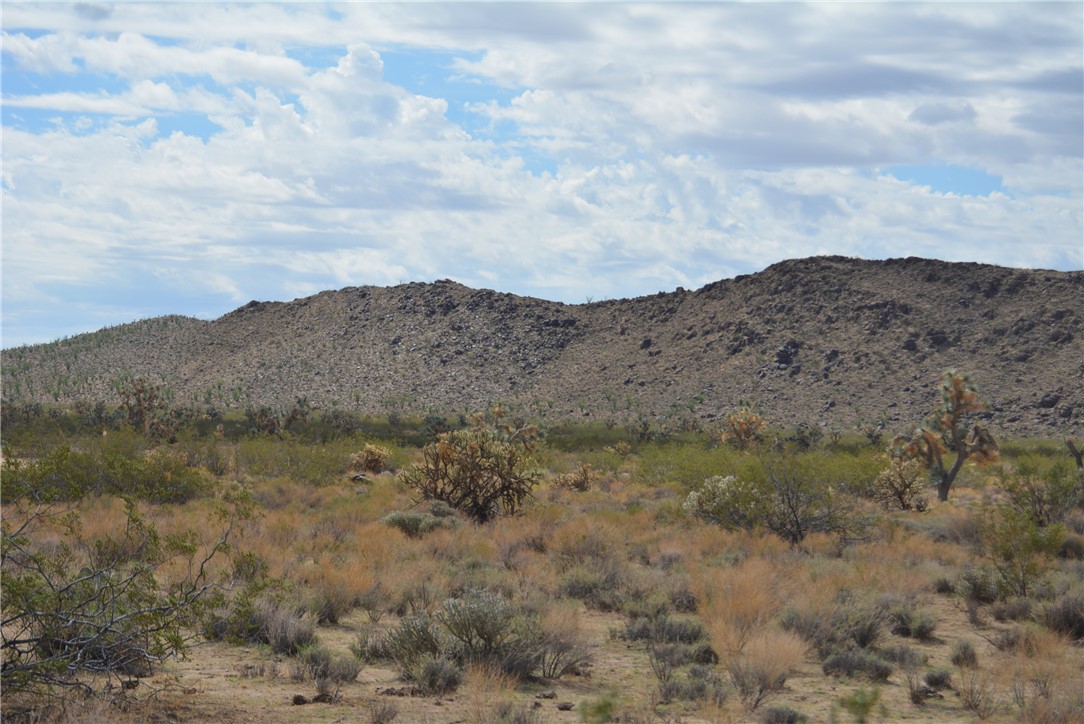 11869 South Dateland Road Yucca, AZ 86438 - Photo 82 of 89 View