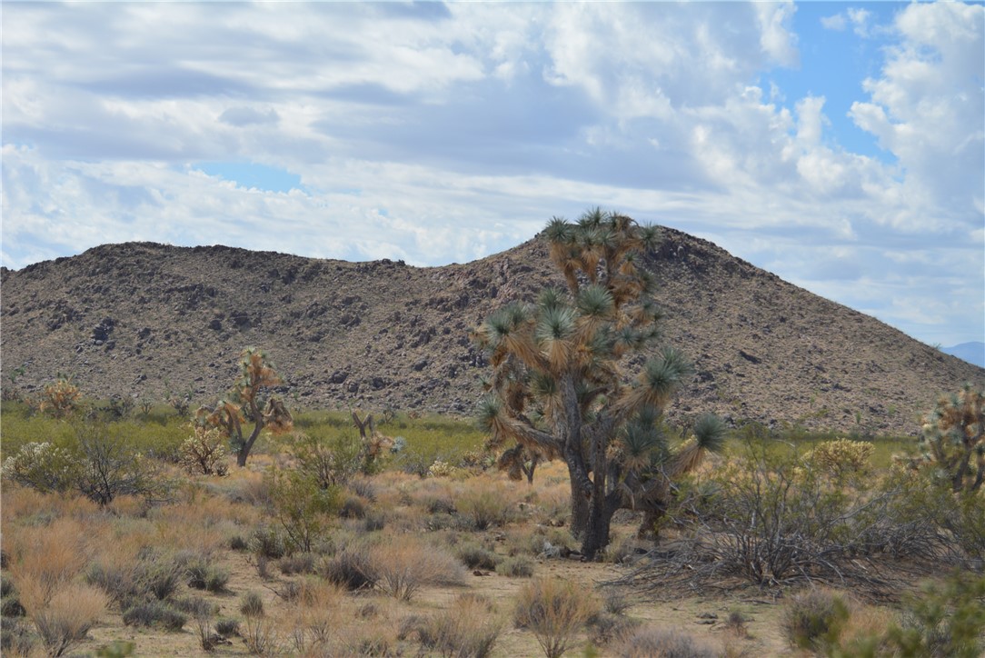 11869 South Dateland Road Yucca, AZ 86438 - Photo 83 of 89 View