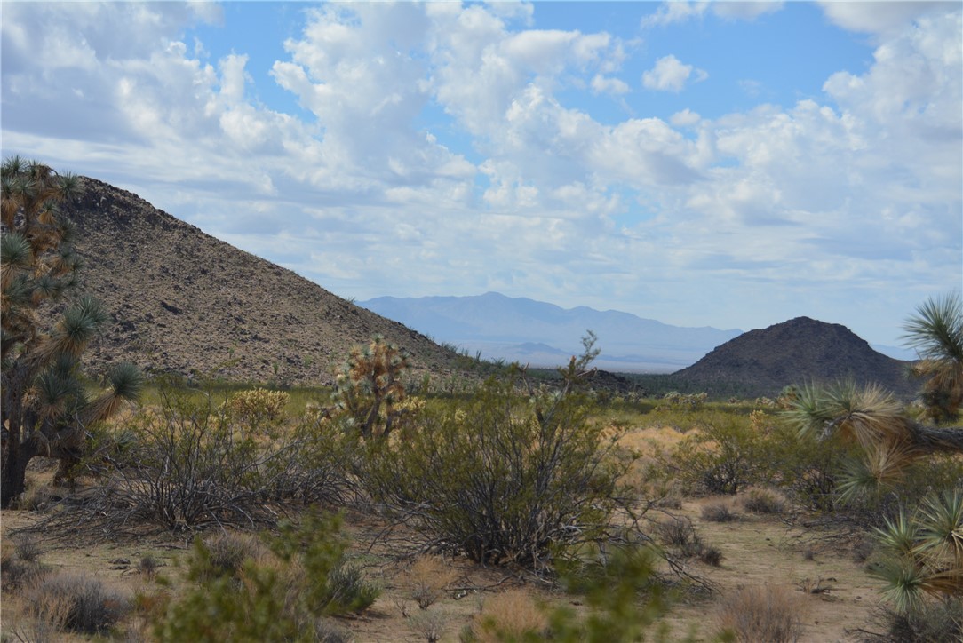 11869 South Dateland Road Yucca, AZ 86438 - Photo 84 of 89 View