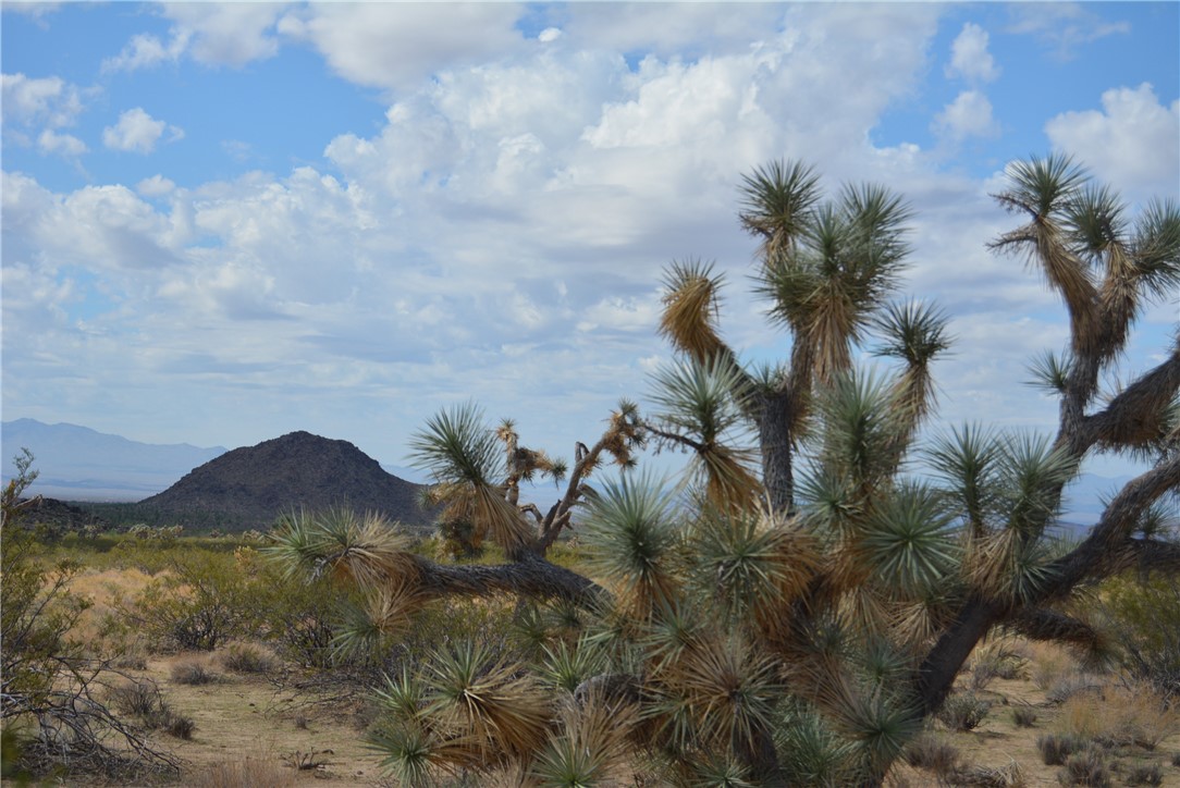 11869 South Dateland Road Yucca, AZ 86438 - Photo 85 of 89 View