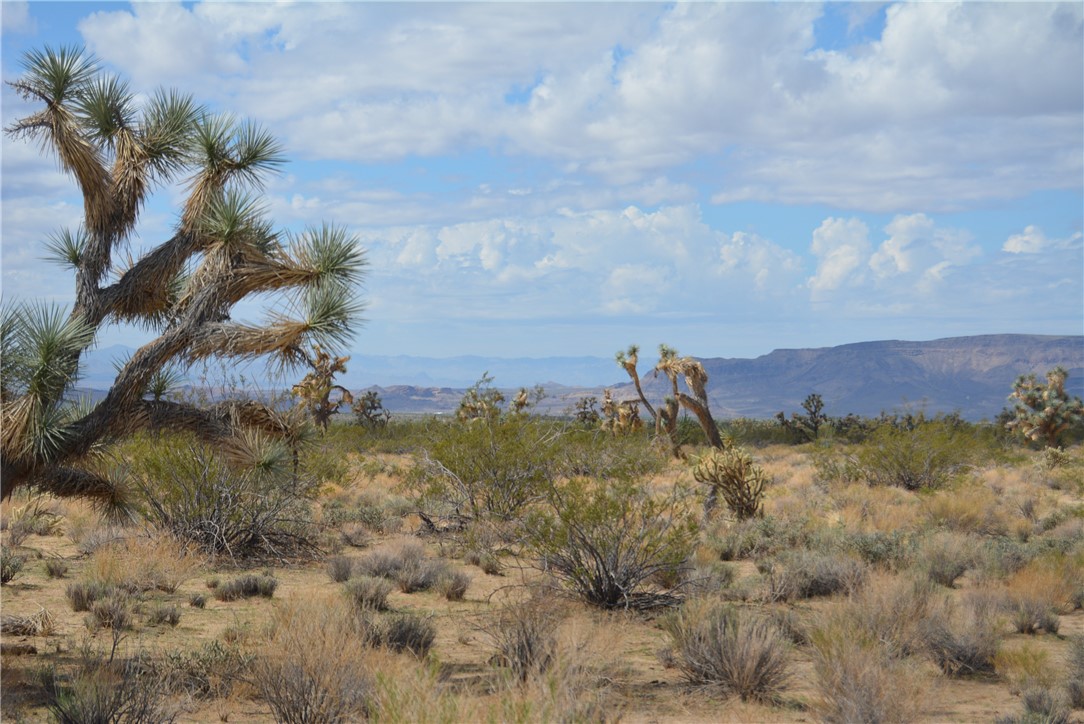11869 South Dateland Road Yucca, AZ 86438 - Photo 86 of 89 View