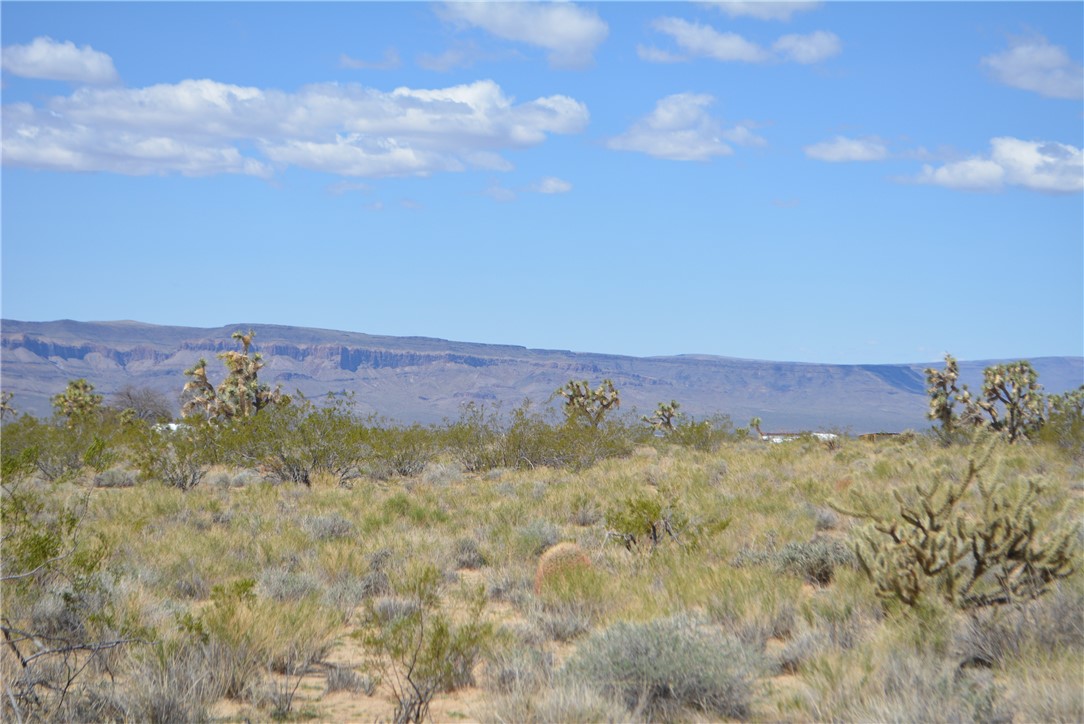11869 South Dateland Road Yucca, AZ 86438 - Photo 9 of 89 View