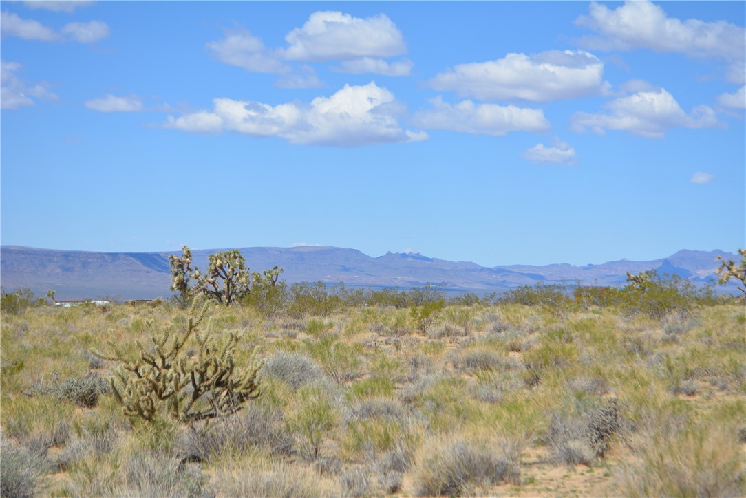 11869 South Dateland Road Yucca, AZ 86438 - Photo 10 of 89 View