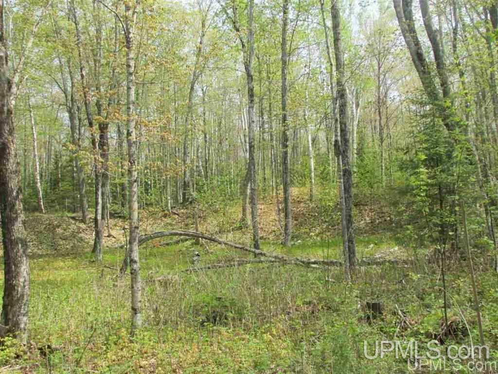 20563 Point Abbaye Road Lanse, MI 49946 - Photo 31 of 33
