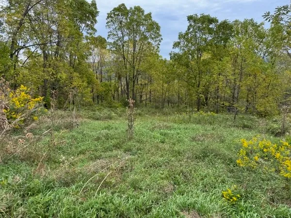 $50,000 | Belle Cornell Drive, Montour Falls, NY 14865