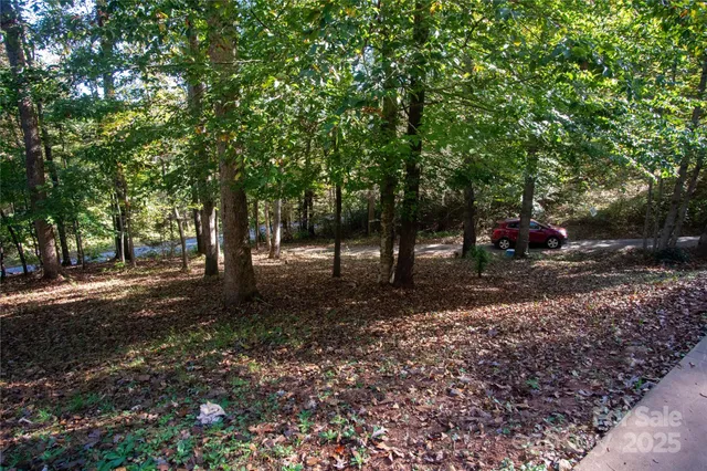 a view of a tree in the middle of a yard