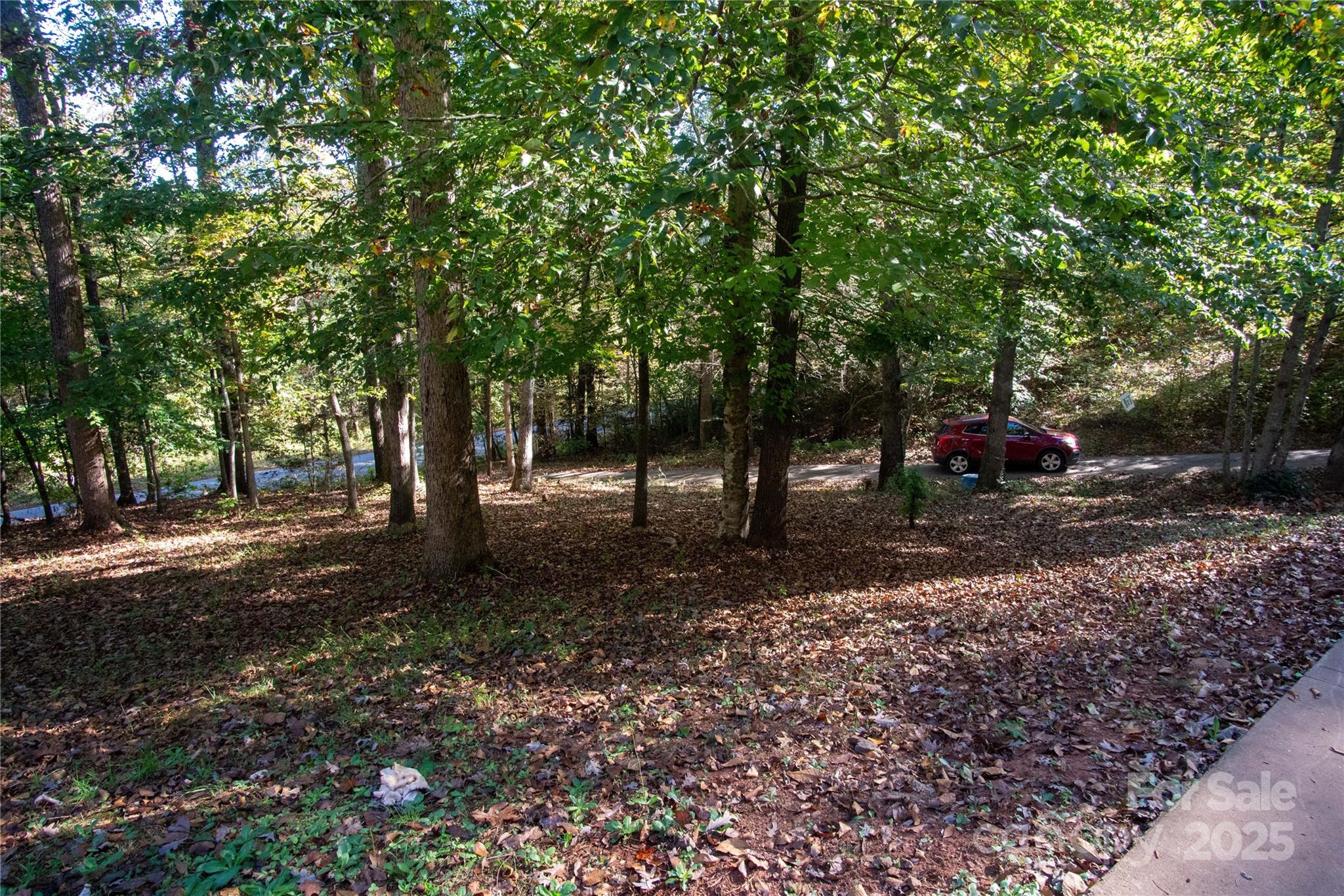 178 Levi Road Columbus, NC 28722 - Photo 7 of 36 a view of a tree in the middle of a yard