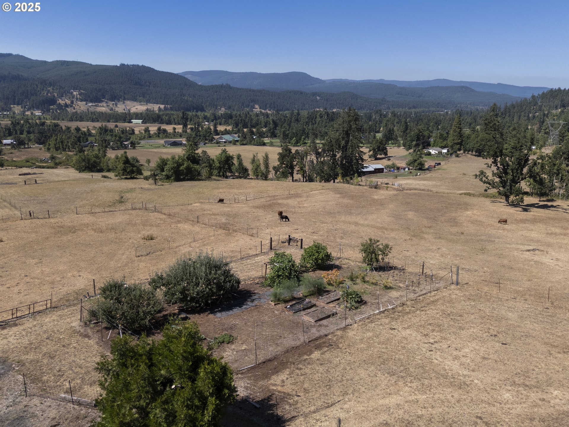 36589 Alder Branch Road Springfield, OR 97478 - Photo 36 of 36 a view of a mountain with an outdoor space