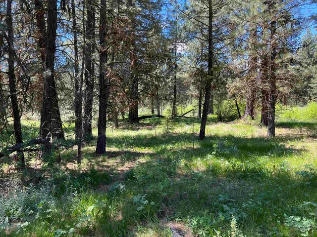 $225,000 | Lot 12 Star Creek, Idaho City, ID 83631