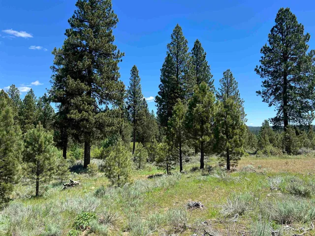 $225,000 | Lot 12 Star Creek, Idaho City, ID 83631