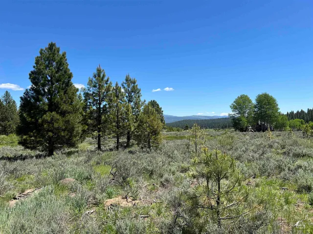 $225,000 | Lot 12 Star Creek, Idaho City, ID 83631