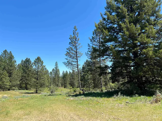 $225,000 | Lot 12 Star Creek, Idaho City, ID 83631