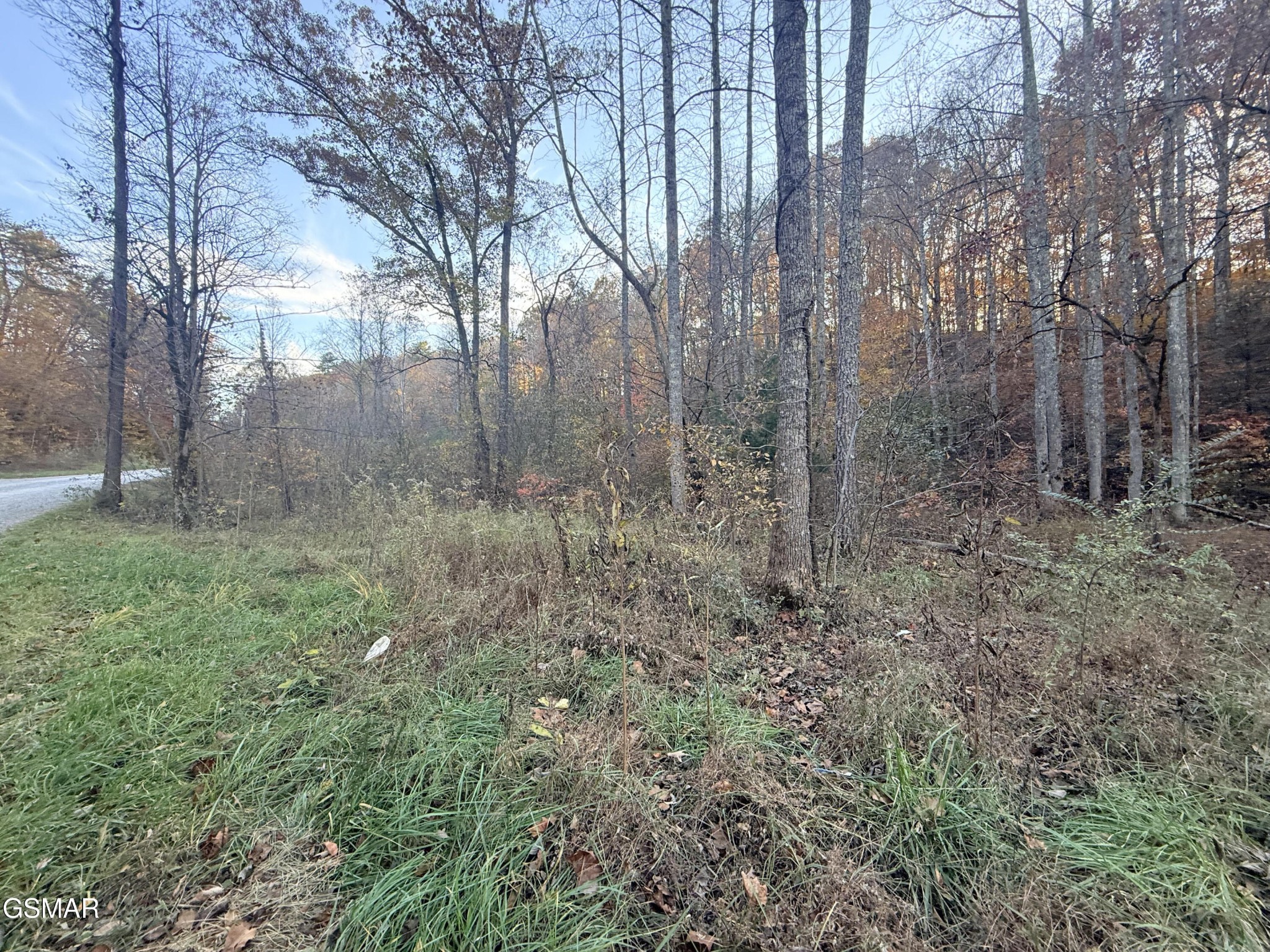 4243 Deerfoot Road Cosby, TN 37722 - Photo 6 of 7 Gallery Image 6
