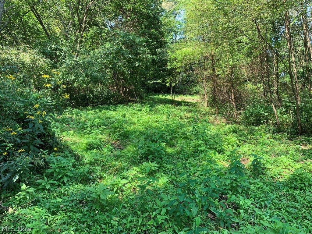 50 Country Road Jewett, OH 43986 - Photo 1 of 10 Gallery Image 1