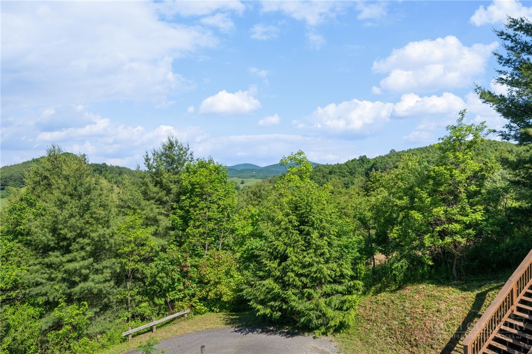 2163 Phillips Gap Road West Jefferson, NC 28694 - Photo 46 of 47