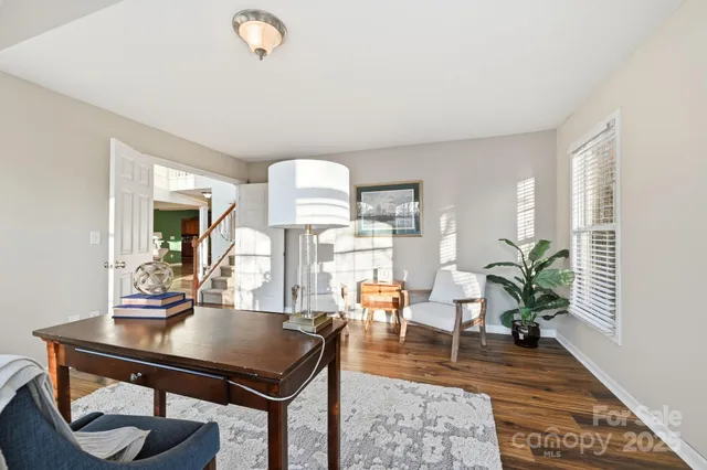 a living room with furniture a rug and a potted plant