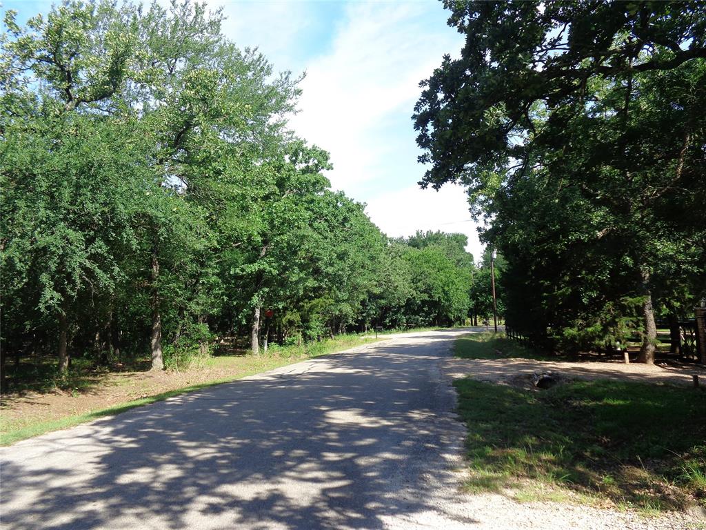5525 Cedar Oaks Road Grandview, TX 76050 - Photo 13 of 18 Paved road bordered by abundant mature trees and natural vegetation