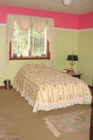 2999 Polly Road Ravenna, OH 44266 - Photo 11 of 15 bedroom