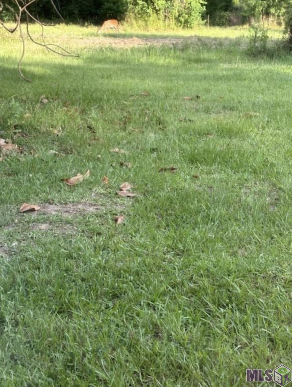 22 Springfield La Springfield, LA 70462 - Photo 3 of 5