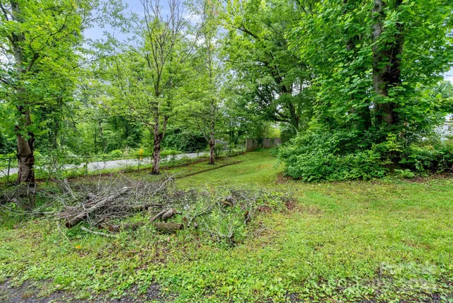 a view of a trees with a yard