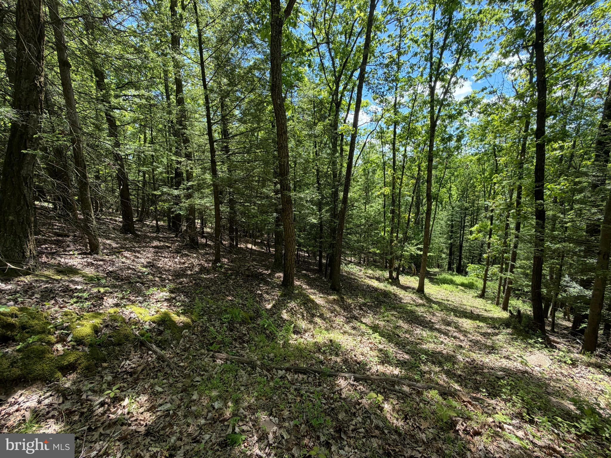 580 Fairview Road Howard, PA 16841 - Photo 12 of 100 a view of outdoor space with lots of trees