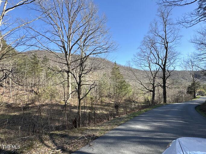 2063 Kelley Gap Road Greeneville, TN 37743 - Photo 2 of 9 image (2)