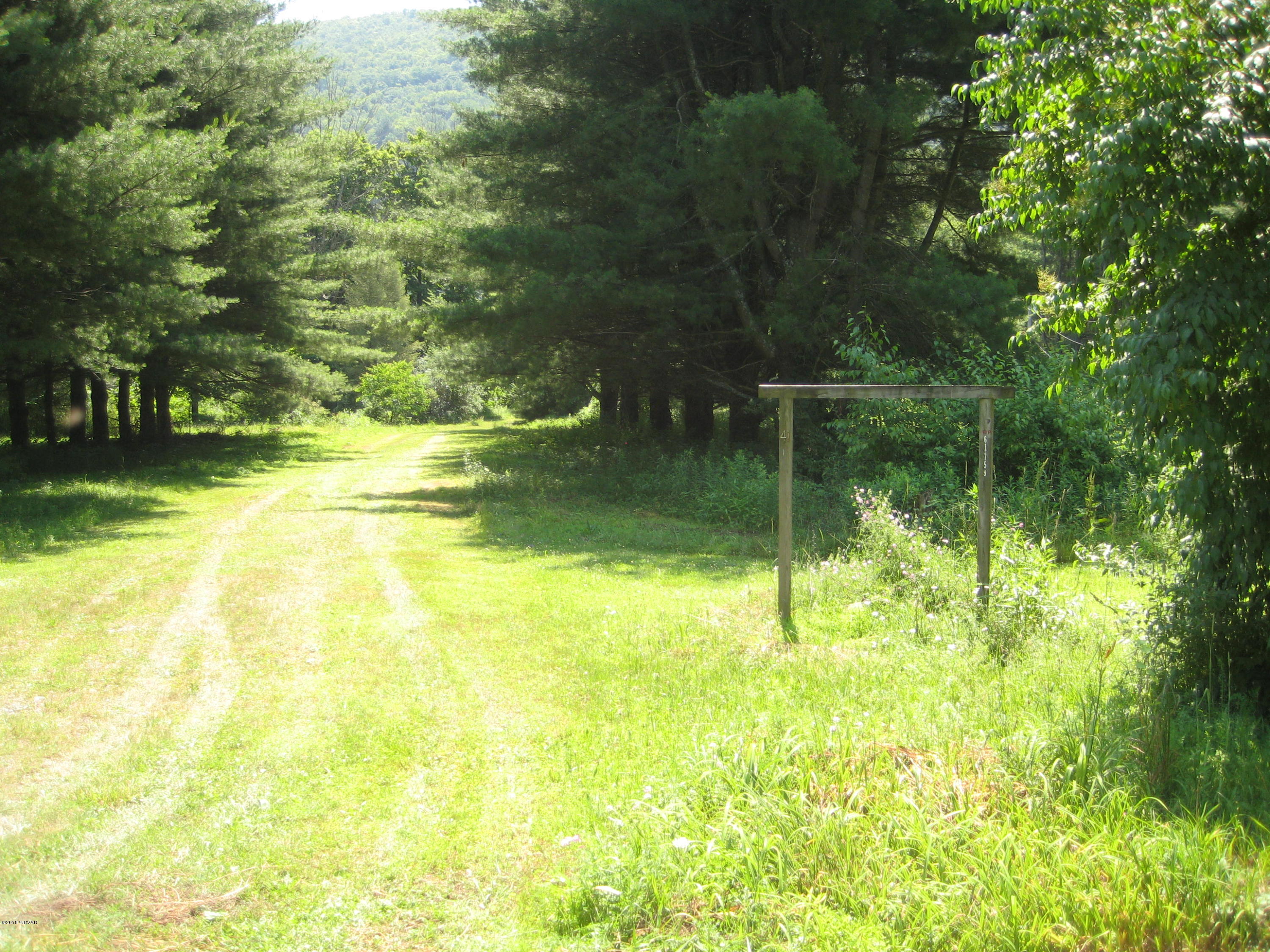 41 Buttonwood Road Hillsgrove, PA 18619 - Photo 4 of 15 IMG_2152