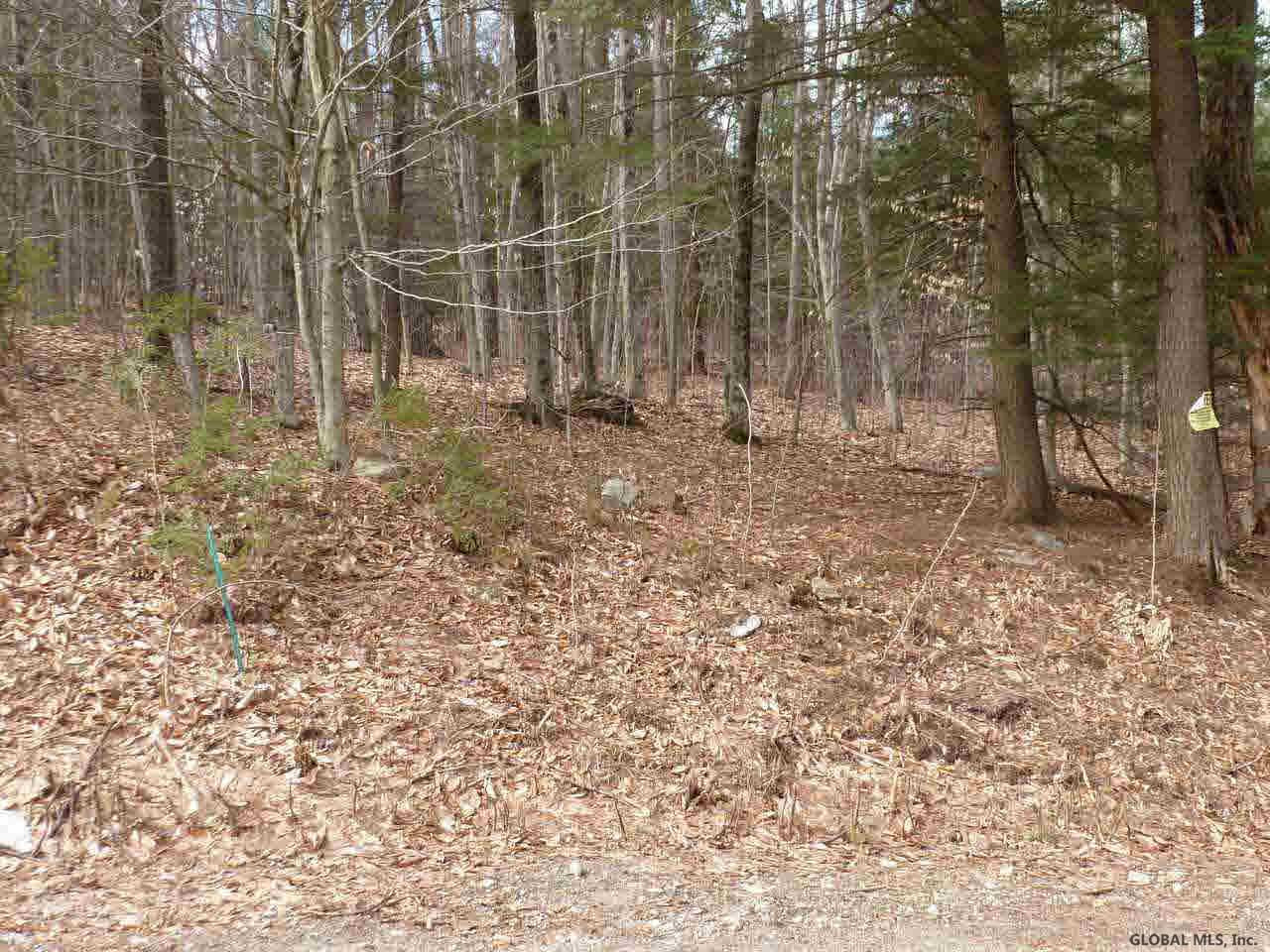 8 Spring Woods Road, Unit LOT 8 Diamond Point, NY 12824 - Photo 1 of 7 Photo 1