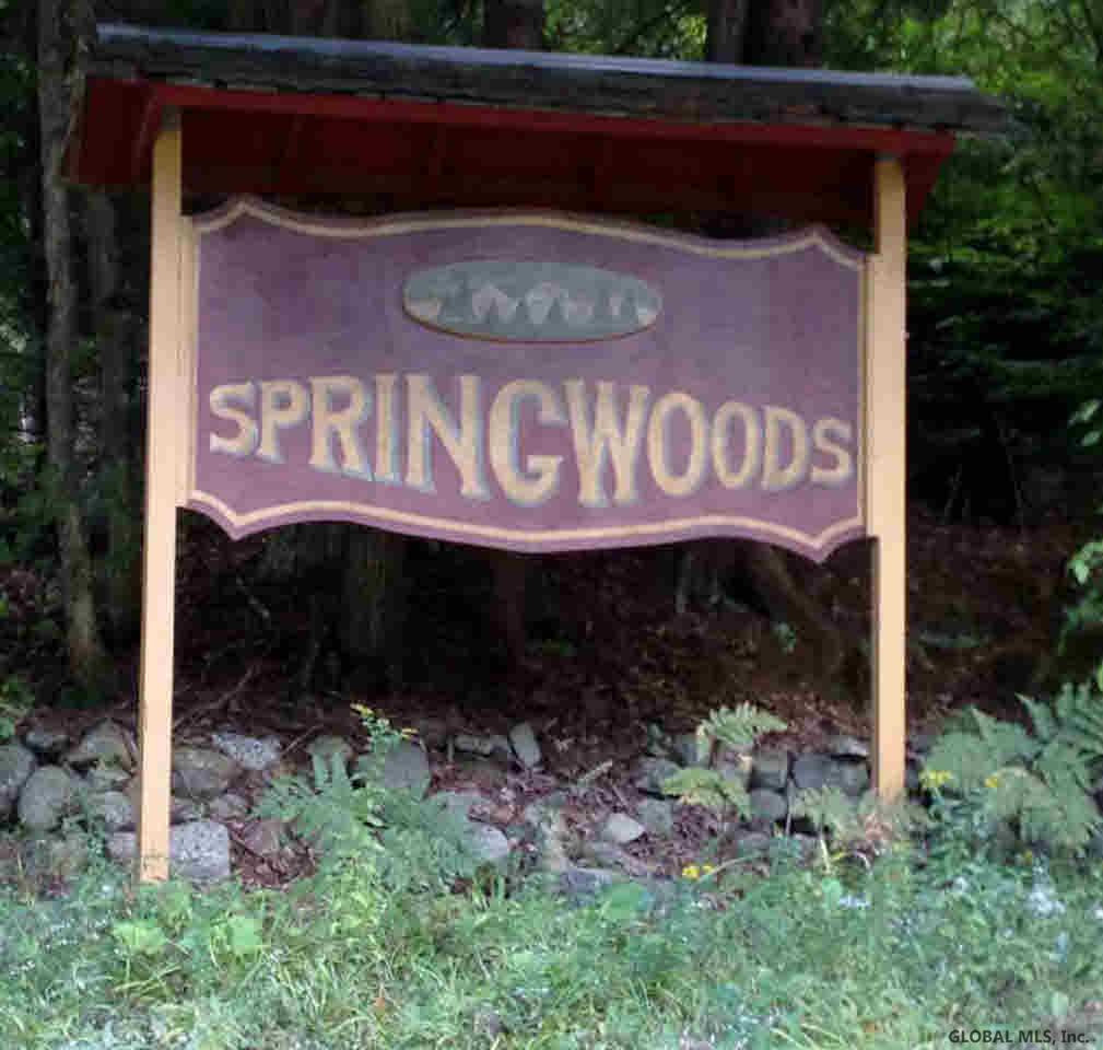8 Spring Woods Road, Unit LOT 8 Diamond Point, NY 12824 - Photo 3 of 7 Photo 3