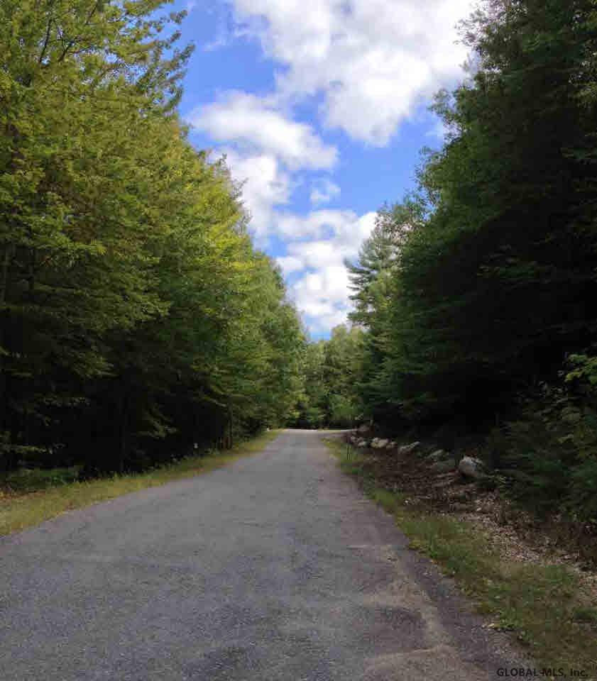 8 Spring Woods Road, Unit LOT 8 Diamond Point, NY 12824 - Photo 6 of 7 Photo 6