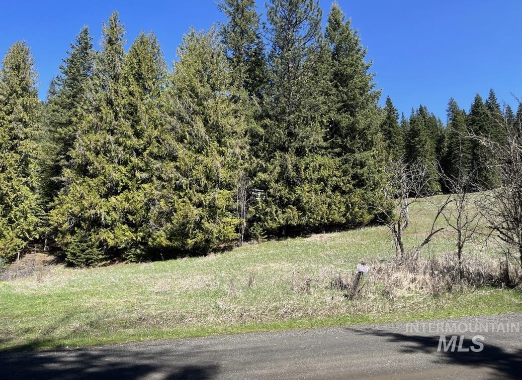 936 Red Fir Road Kooskia, ID 83539 - Photo 27 of 29