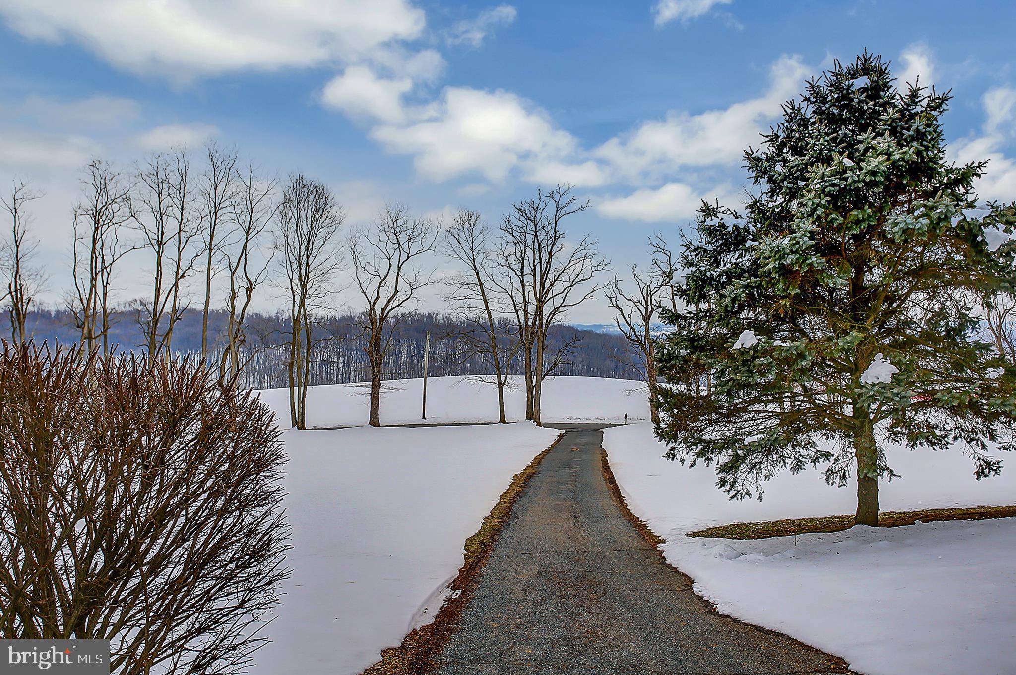 265 Alwine Road Middletown, PA 17057 - Photo 7 of 59 Gallery Image 7