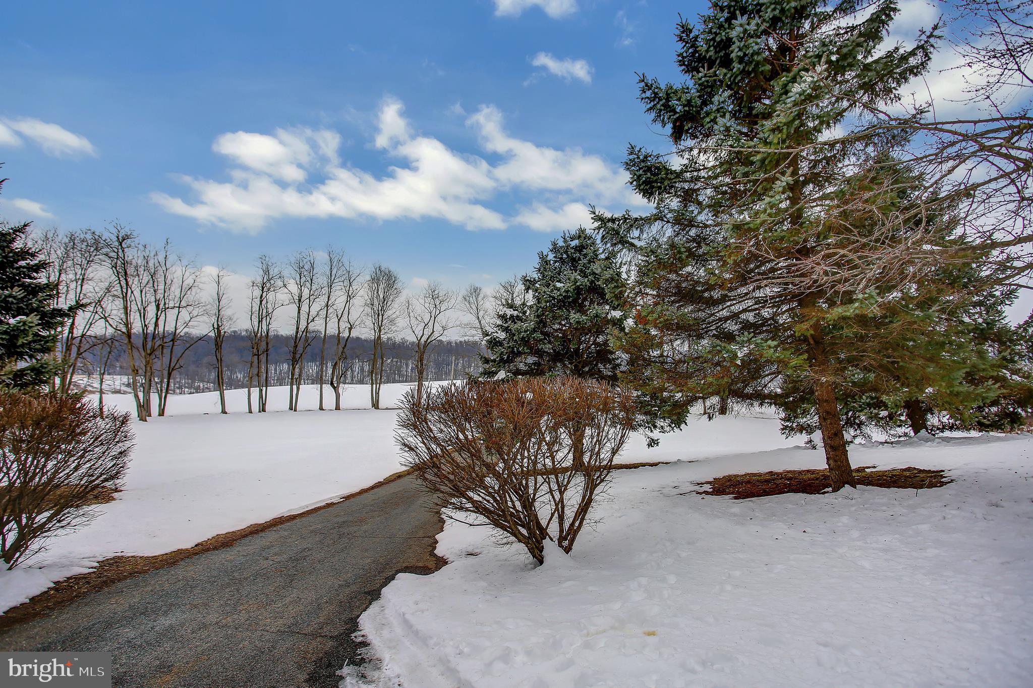 265 Alwine Road Middletown, PA 17057 - Photo 8 of 59 Gallery Image 8