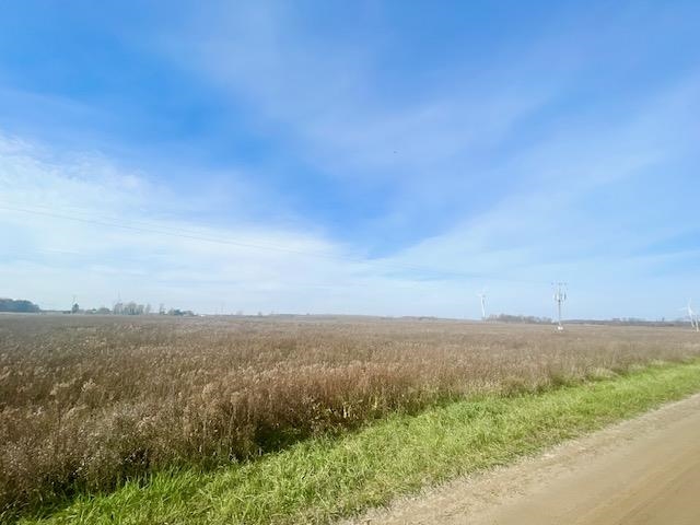 Tbd South Tbd S Blair Road North Star, MI 48847 - Photo 6 of 7