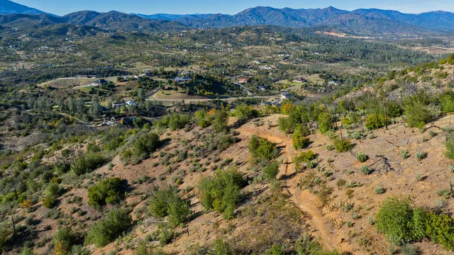 a view of a forest with mountains in the background