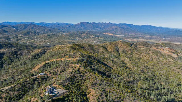 a view of a bunch of trees and houses