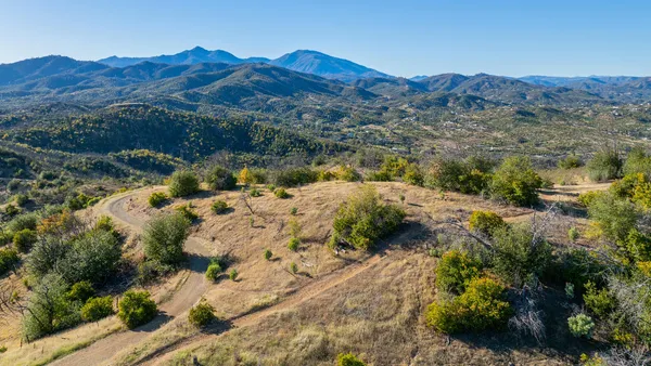 a view of a lot of trees and mountains
