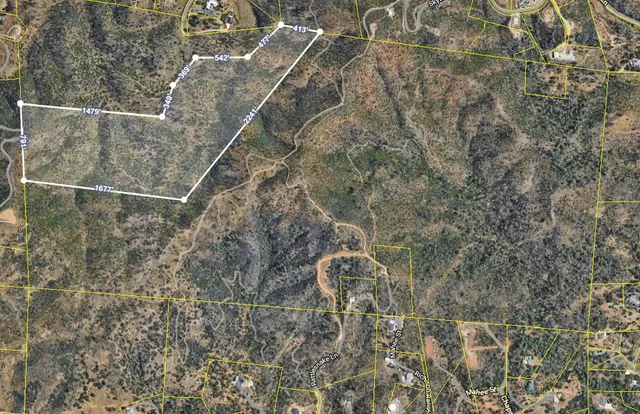 a view of a dry yard